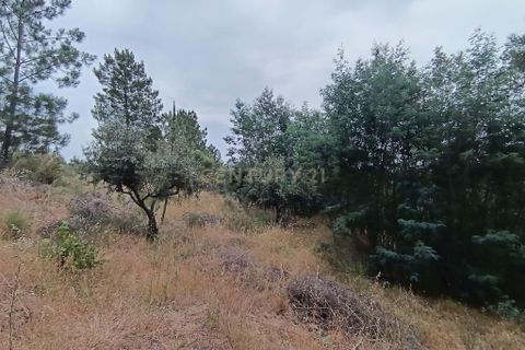 Helårsgrund i Castelo Branco, Castelo Branco, Castelo Branco - € 15.000 | Ref: C0434-01076 - foto 7