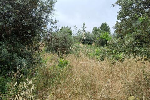 Helårsgrund i Castelo Branco, Castelo Branco, Castelo Branco - € 5.000 | Ref: C0434-01077 - foto 1