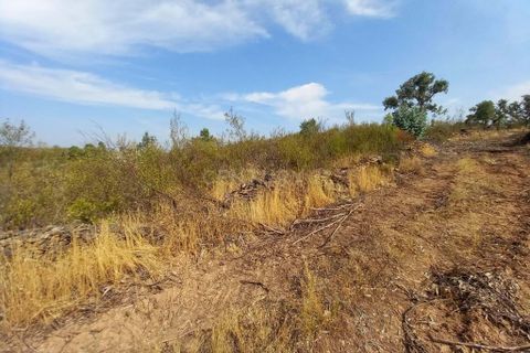 Terreno en Castelo Branco, Castelo Branco, Castelo Branco - € 16.500 | Ref: C0434-01084 - photo 5