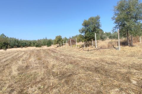 Helårsgrund i Castelo Branco, Castelo Branco, Castelo Branco - € 26.000 | Ref: C0434-01123 - foto 5
