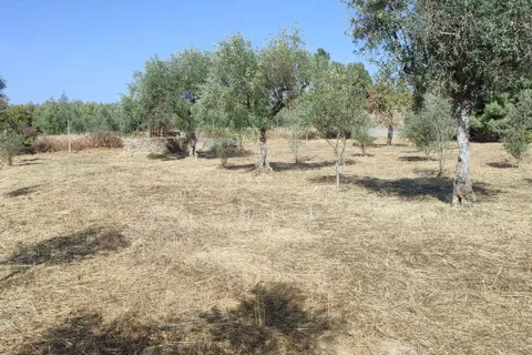 Helårsgrund i Castelo Branco, Castelo Branco, Castelo Branco - € 26.000 | Ref: C0434-01123 - foto 12