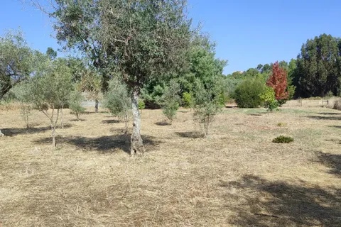 Helårsgrund i Castelo Branco, Castelo Branco, Castelo Branco - € 26.000 | Ref: C0434-01123 - foto 14