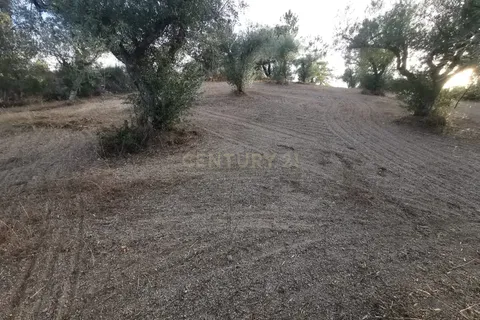 Helårsgrund i Castelo Branco, Castelo Branco, Castelo Branco - € 50.000 | Ref: C0434-01173 - foto 3