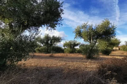 Helårsgrund i Castelo Branco, Castelo Branco, Castelo Branco - € 50.000 | Ref: C0434-01173 - foto 6