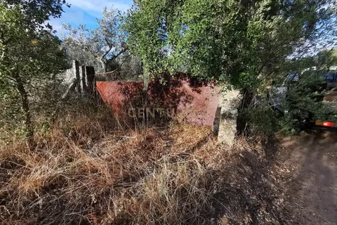 Helårsgrund i Castelo Branco, Castelo Branco, Castelo Branco - € 50.000 | Ref: C0434-01173 - foto 13