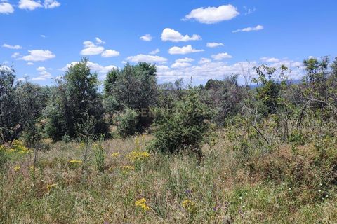 Tomt i Ninho do Acor, Castelo Branco, Ninho do Acor - € 11 950 | Ref: C0434-00168 - foto 2