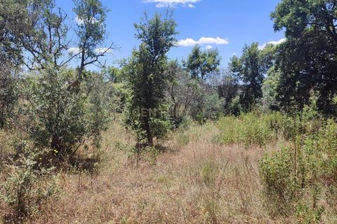 Tomt i Ninho do Acor, Castelo Branco, Ninho do Acor - € 11 950 | Ref: C0434-00168 - foto 3