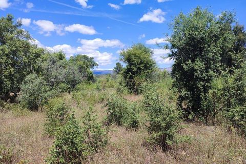 Tomt i Ninho do Acor, Castelo Branco, Ninho do Acor - € 11 950 | Ref: C0434-00168 - foto 4