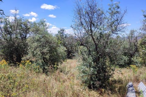 Tomt i Ninho do Acor, Castelo Branco, Ninho do Acor - € 11 950 | Ref: C0434-00168 - foto 7