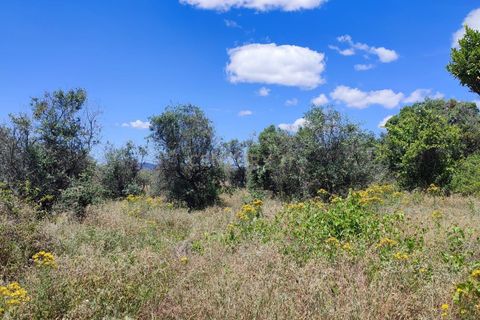 Tomt i Ninho do Acor, Castelo Branco, Ninho do Acor - € 11 950 | Ref: C0434-00168 - foto 8