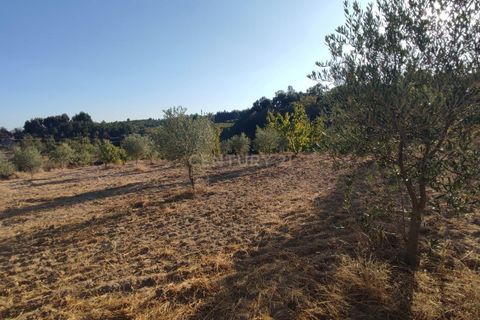 Helårsgrund i Fundao, Castelo Branco, Fundao - € 48.000 | Ref: C0434-00192 - foto 4