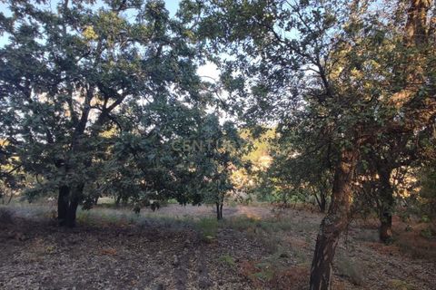 Helårsgrund i Fundao, Castelo Branco, Fundao - € 48.000 | Ref: C0434-00192 - foto 5
