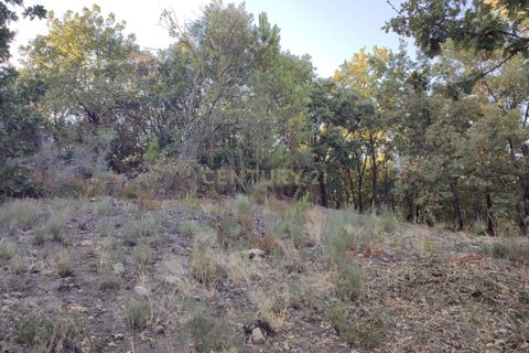 Helårsgrund i Fundao, Castelo Branco, Fundao - € 48.000 | Ref: C0434-00192 - foto 6