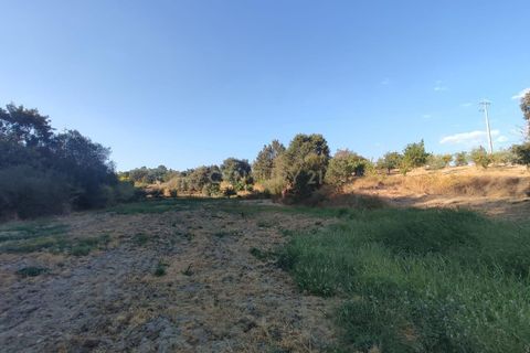 Helårsgrund i Fundao, Castelo Branco, Fundao - € 48.000 | Ref: C0434-00192 - foto 7