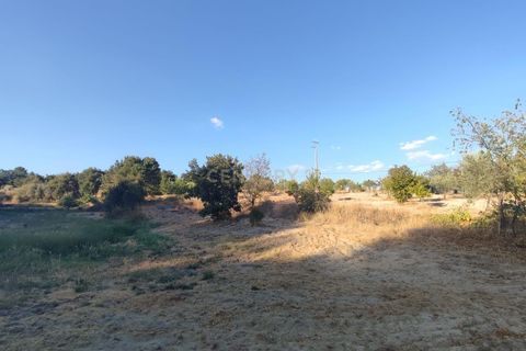 Helårsgrund i Fundao, Castelo Branco, Fundao - € 48.000 | Ref: C0434-00192 - foto 8