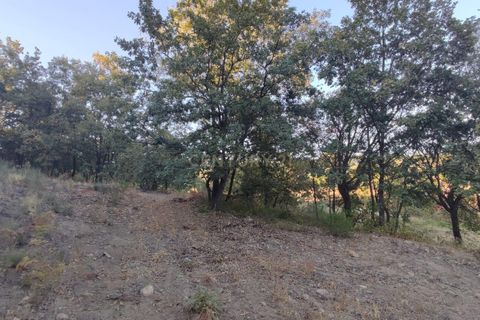 Helårsgrund i Fundao, Castelo Branco, Fundao - € 48.000 | Ref: C0434-00192 - foto 9