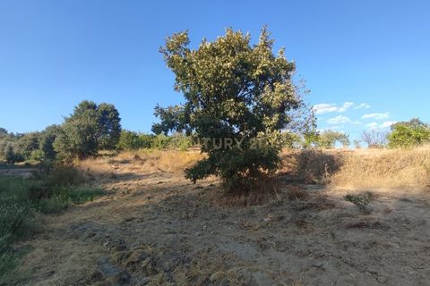Helårsgrund i Fundao, Castelo Branco, Fundao - € 48.000 | Ref: C0434-00192 - foto 10