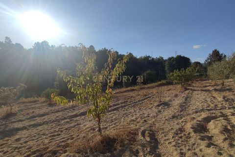 Helårsgrund i Fundao, Castelo Branco, Fundao - € 48.000 | Ref: C0434-00192 - foto 14