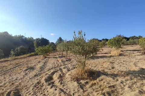 Helårsgrund i Fundao, Castelo Branco, Fundao - € 48.000 | Ref: C0434-00192 - foto 15