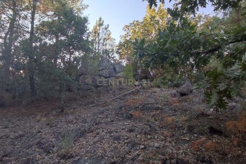 Helårsgrund i Fundao, Castelo Branco, Fundao - € 48.000 | Ref: C0434-00192 - foto 16