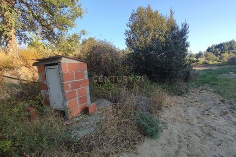 Helårsgrund i Fundao, Castelo Branco, Fundao - € 48.000 | Ref: C0434-00192 - foto 17