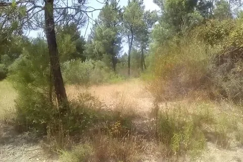 Villa a Amieira, Castelo Branco, Amieira - € 25.000 | Ref: C0434-00199 - foto 11