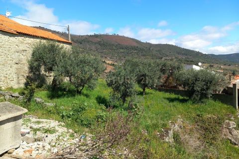 Terra a Fundao, Castelo Branco, Fundao - € 7.600 | Ref: C0434-00324 - foto 2
