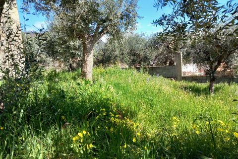 Terra a Fundao, Castelo Branco, Fundao - € 7.600 | Ref: C0434-00324 - foto 4