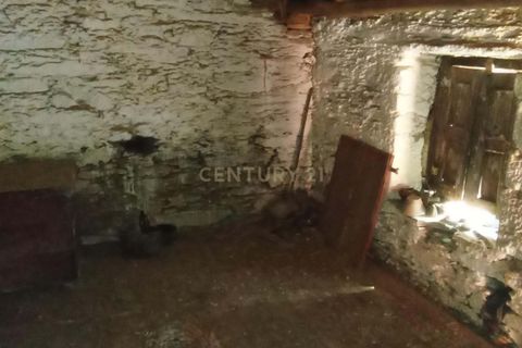 Villa i Castelo Branco, Castelo Branco, Castelo Branco - € 12.000 | Ref: C0434-00336 - foto 17