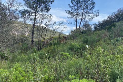 Helårsgrund i Nisa, Portalegre, Nisa - € 43.500 | Ref: C0434-00341 - foto 3