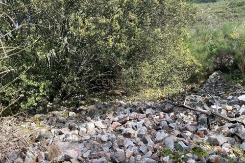 Helårsgrund i Nisa, Portalegre, Nisa - € 43.500 | Ref: C0434-00341 - foto 9