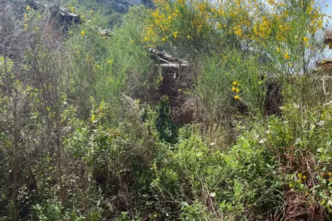 Helårsgrund i Nisa, Portalegre, Nisa - € 43.500 | Ref: C0434-00341 - foto 10