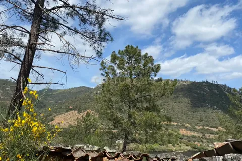 Helårsgrund i Nisa, Portalegre, Nisa - € 43.500 | Ref: C0434-00341 - foto 11
