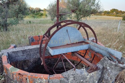 Helårsgrund i Castelo Branco, Castelo Branco, Castelo Branco - € 15.000 | Ref: C0434-00389 - foto 3