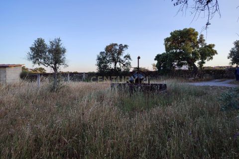 Helårsgrund i Castelo Branco, Castelo Branco, Castelo Branco - € 15.000 | Ref: C0434-00389 - foto 5