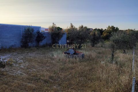 Helårsgrund i Castelo Branco, Castelo Branco, Castelo Branco - € 15.000 | Ref: C0434-00389 - foto 8