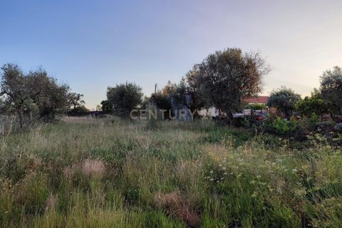 Helårsgrund i Castelo Branco, Castelo Branco, Castelo Branco - € 15.000 | Ref: C0434-00389 - foto 9