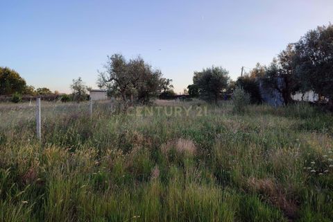 Helårsgrund i Castelo Branco, Castelo Branco, Castelo Branco - € 15.000 | Ref: C0434-00389 - foto 10