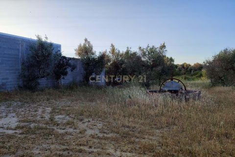 Helårsgrund i Castelo Branco, Castelo Branco, Castelo Branco - € 15.000 | Ref: C0434-00389 - foto 16