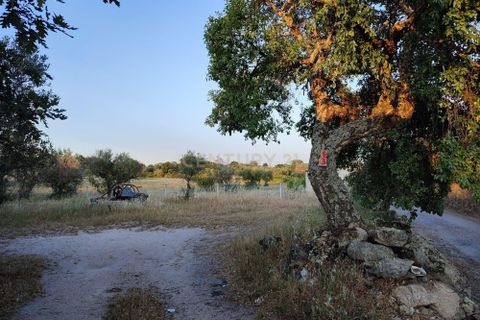 Helårsgrund i Castelo Branco, Castelo Branco, Castelo Branco - € 15.000 | Ref: C0434-00389 - foto 17