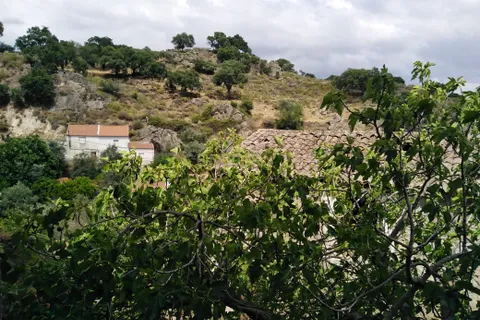 Villa i Idanha-a-Nova, Castelo Branco, Idanha-a-Nova - € 117.500 | Ref: C0434-00404 - foto 26