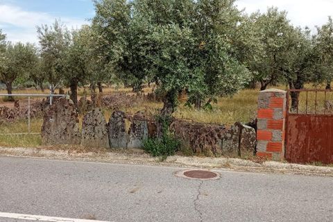 Helårsgrund i Castelo Branco, Castelo Branco, Castelo Branco - € 30.000 | Ref: C0434-00402 - foto 1