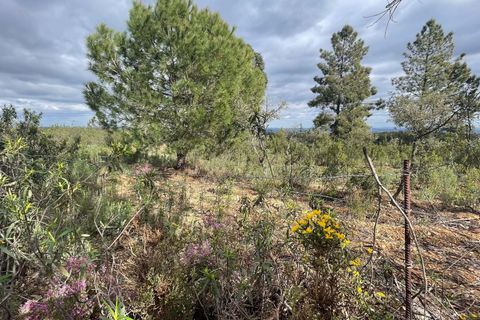 Helårsgrund i Castelo Branco, Castelo Branco, Castelo Branco - € 20.000 | Ref: C0434-00474 - foto 3