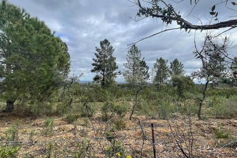 Helårsgrund i Castelo Branco, Castelo Branco, Castelo Branco - € 20.000 | Ref: C0434-00474 - foto 4