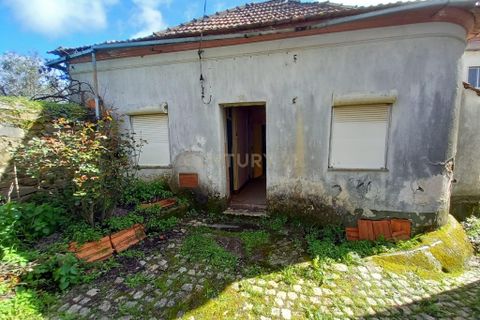 Villa a Proenca-a-Nova, Castelo Branco, Proenca-a-Nova - € 36.500 | Ref: C0434-00528 - foto 12