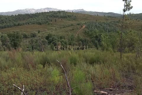Terra a Ninho do Acor, Castelo Branco, Ninho do Acor - € 9.500 | Ref: C0434-00532 - foto 2
