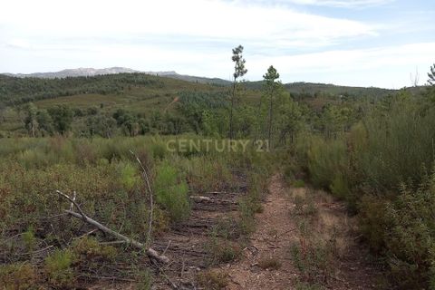 Terra a Ninho do Acor, Castelo Branco, Ninho do Acor - € 9.500 | Ref: C0434-00532 - foto 3