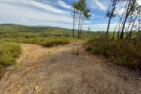 Terra a Ninho do Acor, Castelo Branco, Ninho do Acor - € 9.500 | Ref: C0434-00532 - foto 4