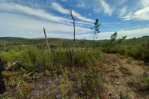 Terra a Ninho do Acor, Castelo Branco, Ninho do Acor - € 9.500 | Ref: C0434-00532 - foto 5