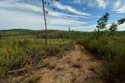 Terra a Ninho do Acor, Castelo Branco, Ninho do Acor - € 9.500 | Ref: C0434-00532 - foto 6